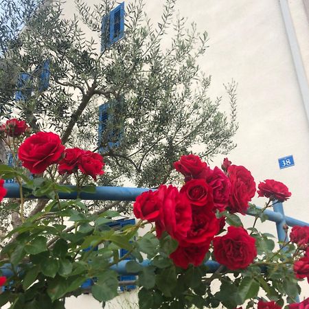 Olive Tree Apartments Ουμάγκ Εξωτερικό φωτογραφία