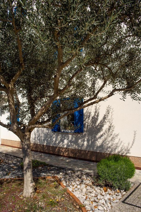 Olive Tree Apartments Ουμάγκ Εξωτερικό φωτογραφία