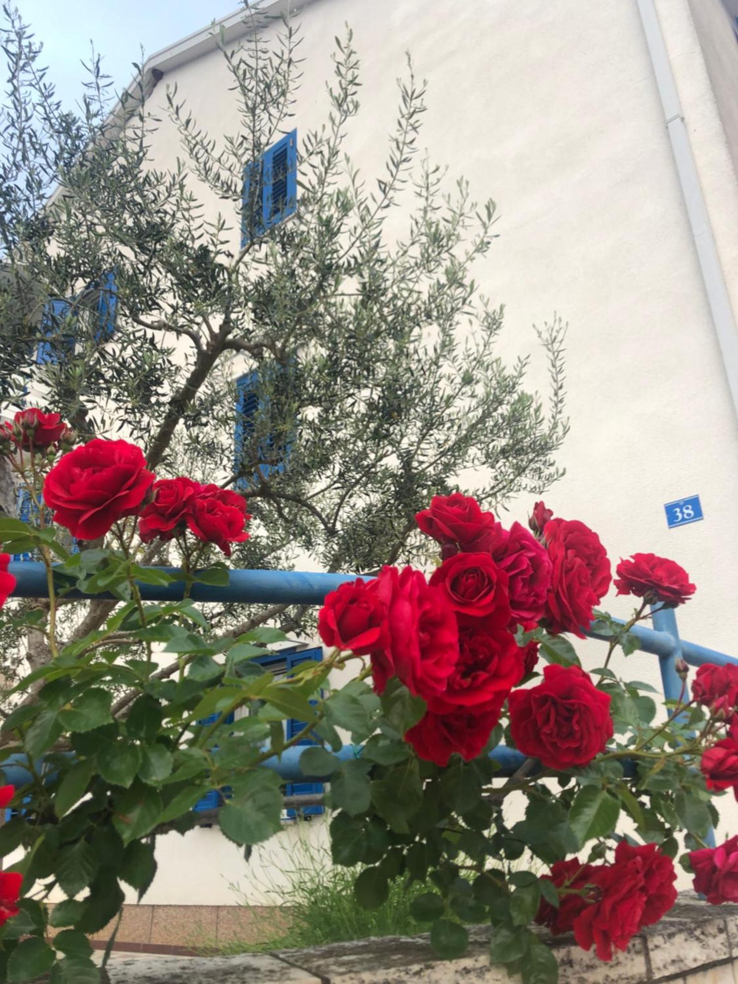 Olive Tree Apartments Ουμάγκ Εξωτερικό φωτογραφία